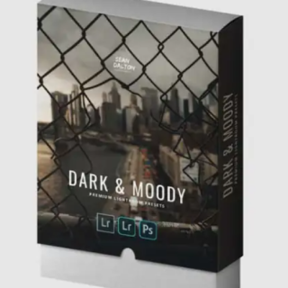 Sean Dalton – Dark & Moody Preset Pack