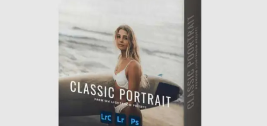 Sean Dalton – Classic Portrait Preset Pack